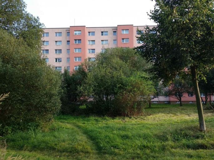 Pronájem, Byt 1+1, Česká Lípa