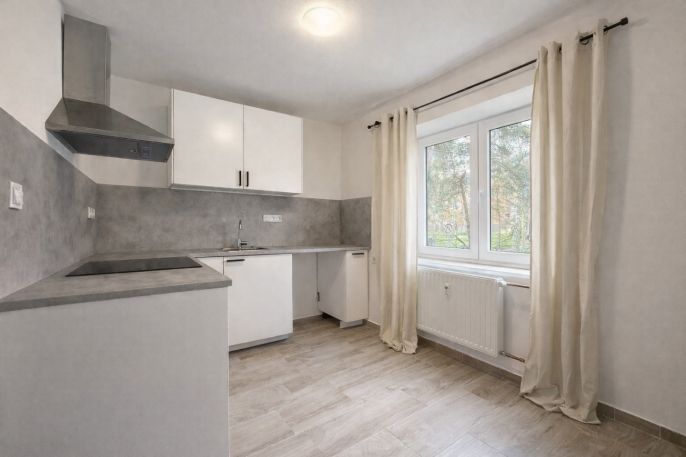 Pronájem, Byt 1+1, Kladno