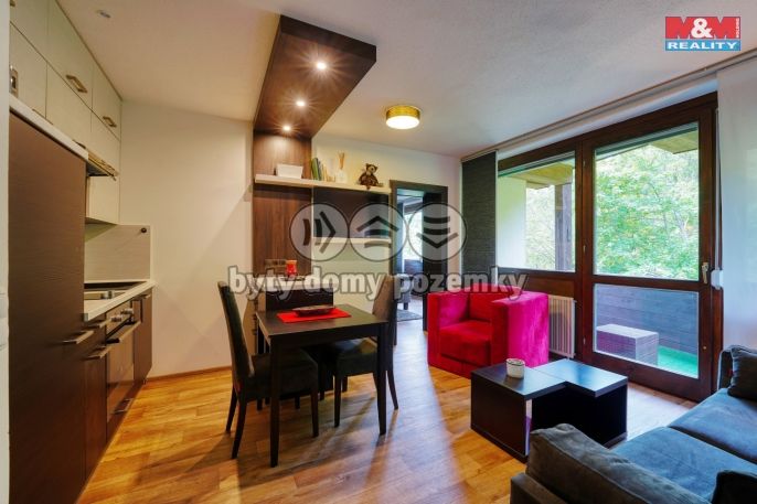 Prodej, Byt 2+kk, Železná Ruda