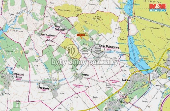 Prodej, Vinice, Dolní Bojanovice