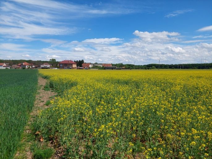 Prodej, Pozemek k bydlení, Pňov-Předhradí