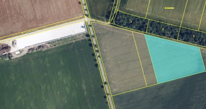 Prodej, Pole, Paseka