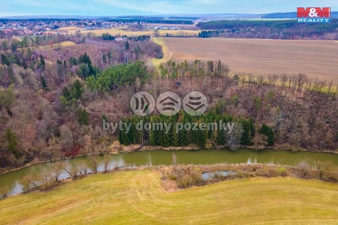 Prodej, Les, Zruč-Senec