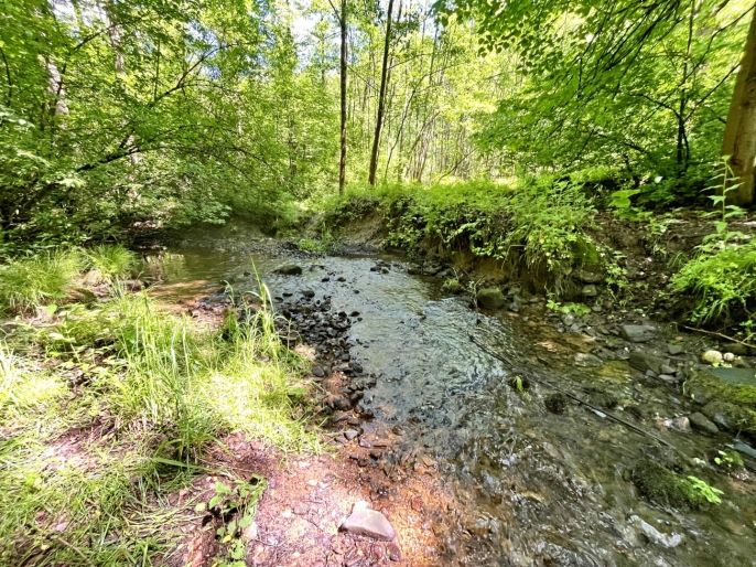 Prodej, Vodní plocha, Skalice u České Lípy