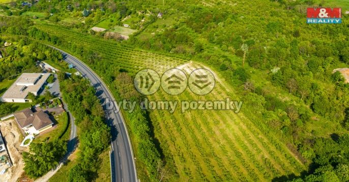 Prodej, Ovocný sad, Roudnice nad Labem