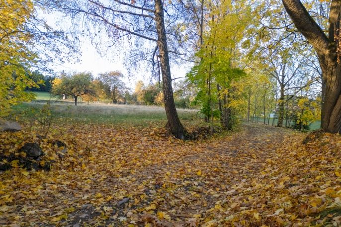 Prodej, Pozemek k bydlení, Soběšice