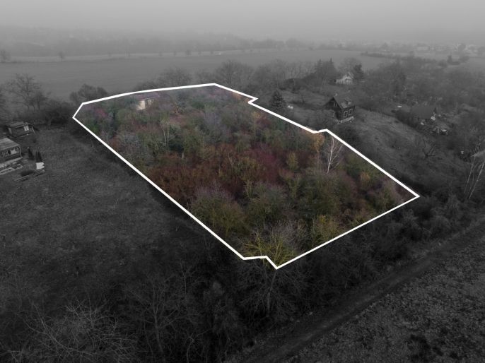 Prodej, Zahrada, Malé Žernoseky