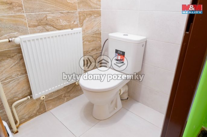 Prodej, Obchodní objekt, Vítkov