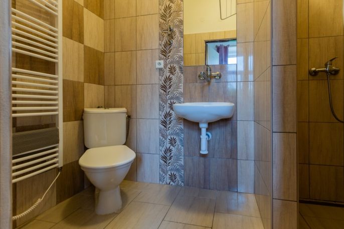 Prodej, Hotel, penzion, Holčovice