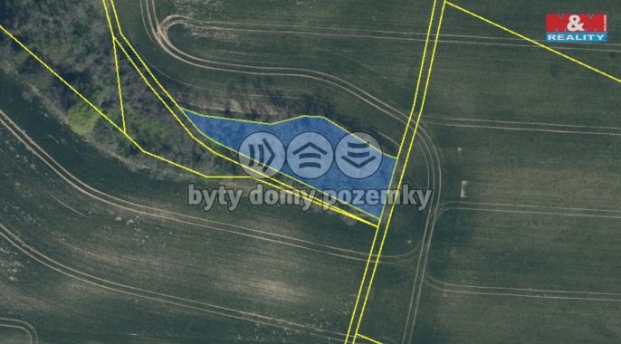 Prodej, Les, Drahobuz