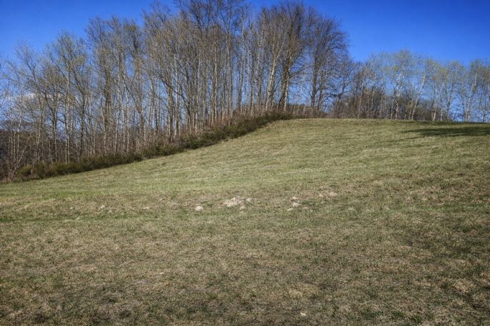 Prodej, Louka, Janův Důl