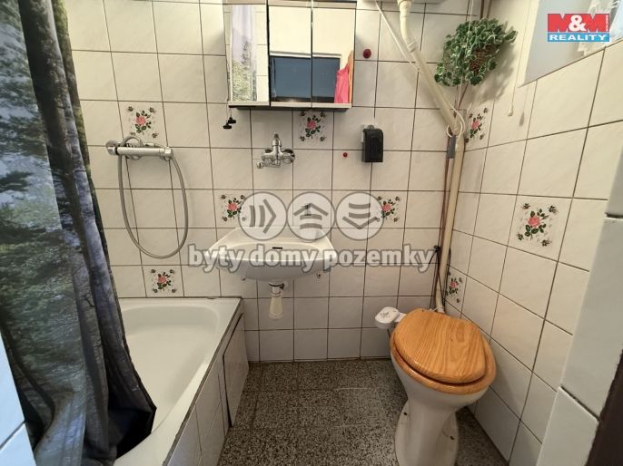 Prodej, Chata, Sosnová