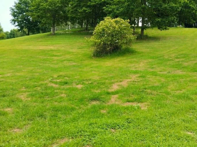 Prodej, Pozemek k bydlení, Svijanský Újezd