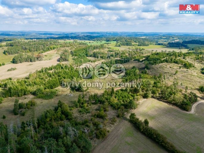 Prodej, Les, Horní Heřmanice