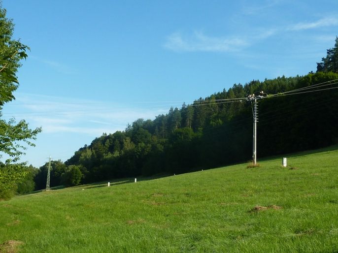 Prodej, Pozemek k bydlení, Trutnov