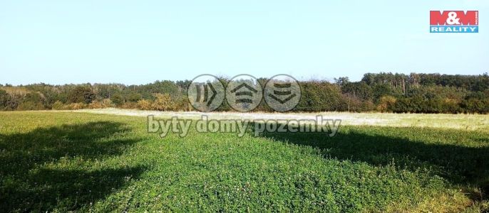 Prodej, Zemědělská usedlost, Úštěk