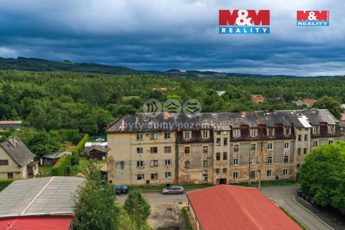 Prodej, Byt 1+kk, Dolní Rychnov