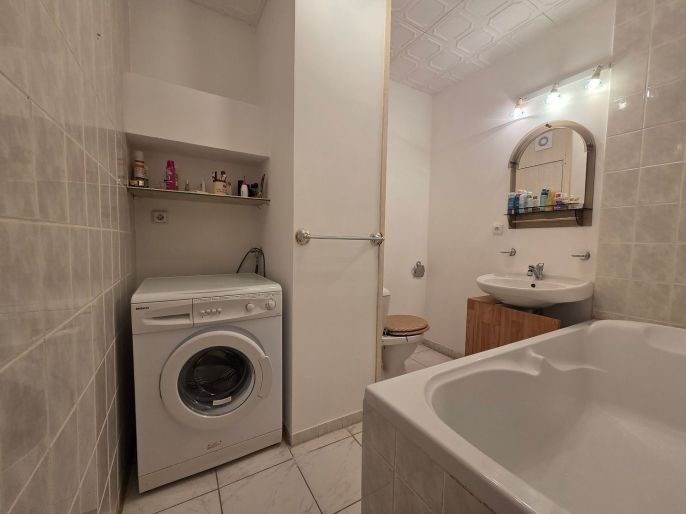 Pronájem, Byt 1+1, Nová Role