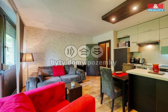 Prodej, Byt 2+kk, Železná Ruda