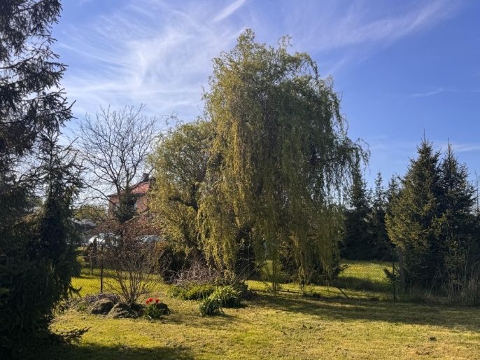 Prodej, Zahrada, Ostrava