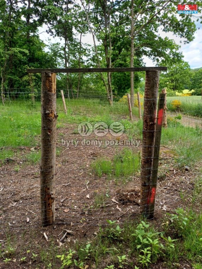 Prodej, Les, Hrazany