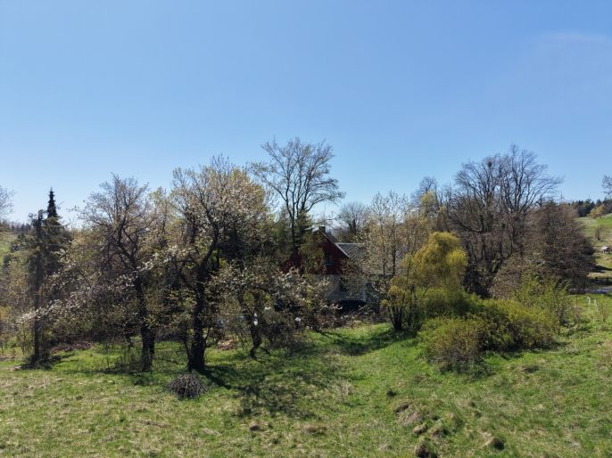 Prodej, Ostatní, Výsluní