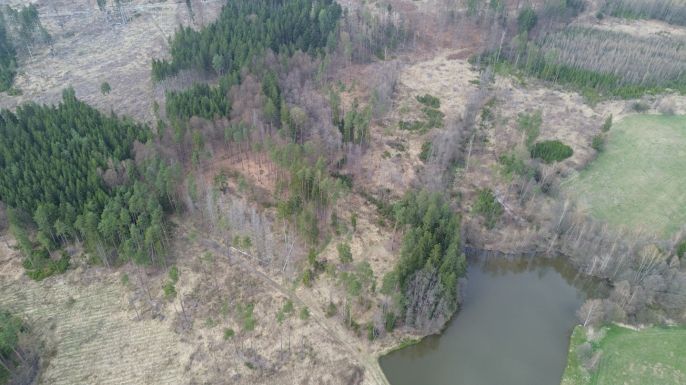 Prodej, Les, Mrákotín