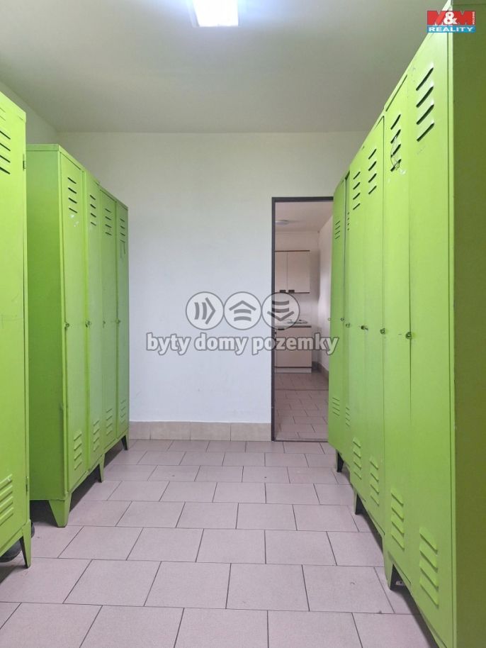 Prodej, Výrobní objekt, Nový Bydžov