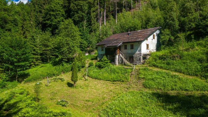 Prodej, Les, Jablonec nad Jizerou