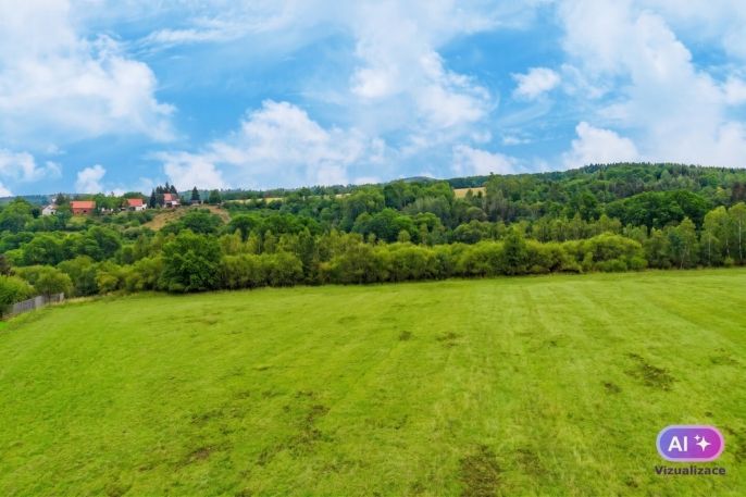 Prodej, Louka, Tuchořice