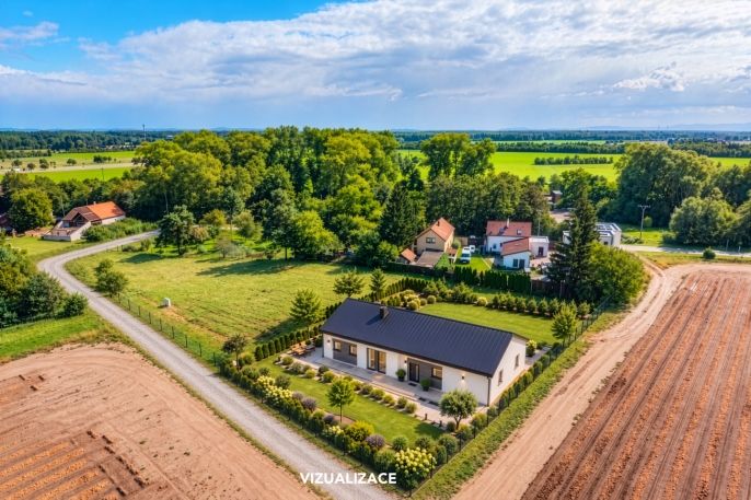 Prodej, Rodinný dům, Opolany
