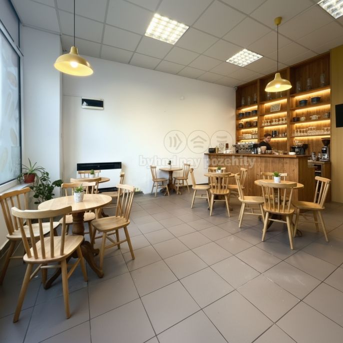 Pronájem, Obchod a služby, Poděbrady