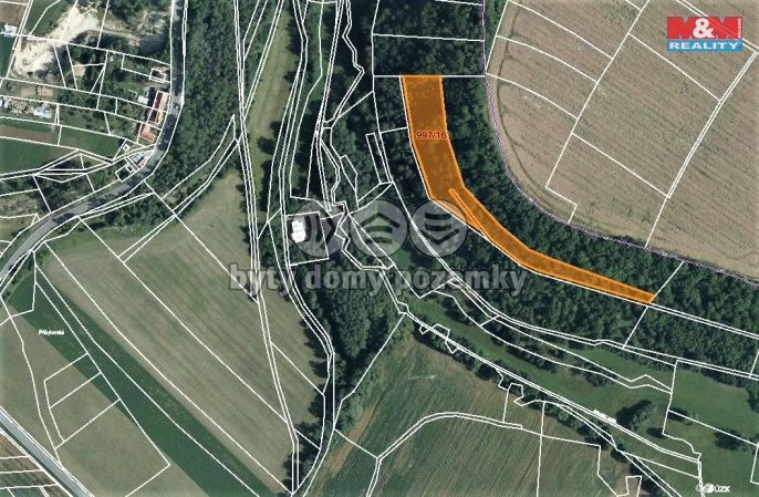 Prodej, Les, Skuteč