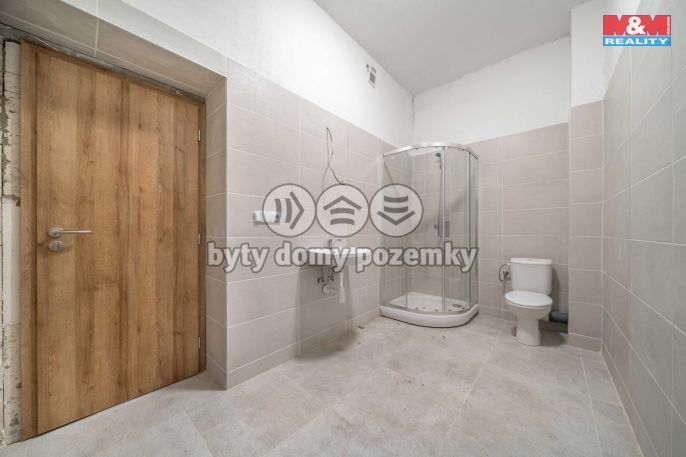 Prodej, Byt 4+kk, Plešnice