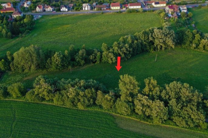 Prodej, Louka, Horní Bříza