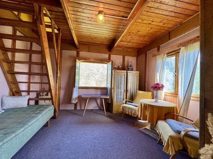 Prodej, Chata, Borotice