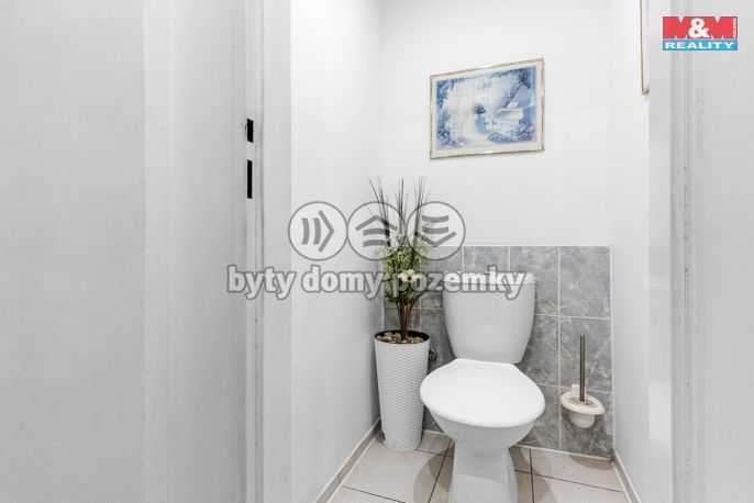 Prodej, Obchodní objekt, Žandov