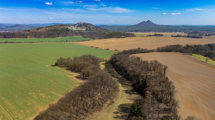 Prodej, Louka, Tachov