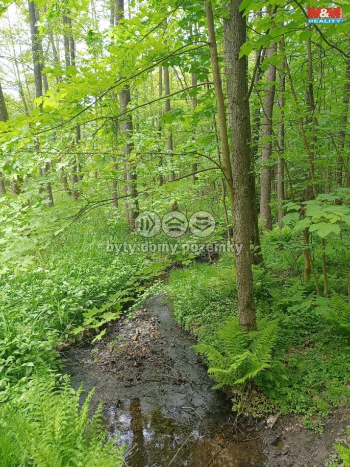 Prodej, Les, Dlouhý Most