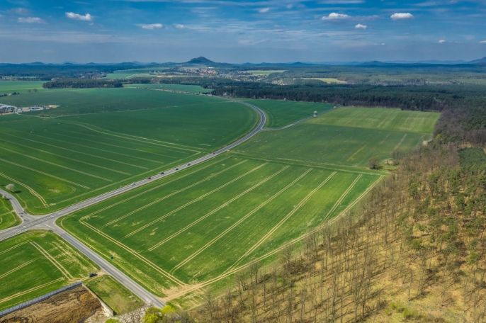 Prodej, Pole, Čistá