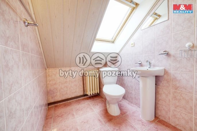 Prodej, Hotel, penzion, Dolní Žandov