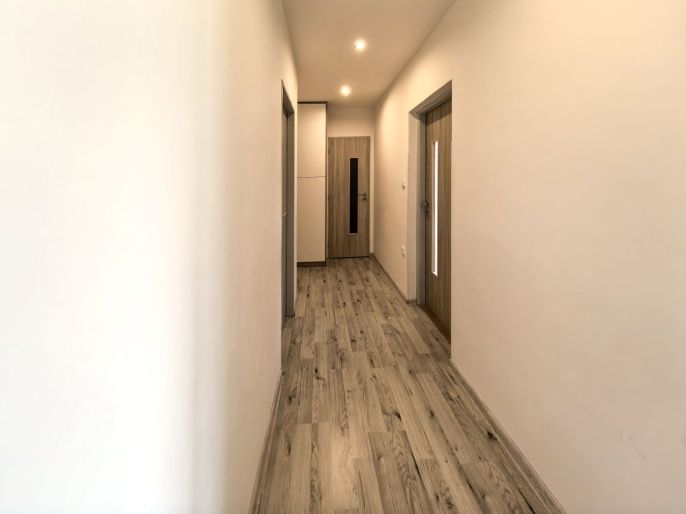 Pronájem, Byt 3+kk, Dolní Dobrouč