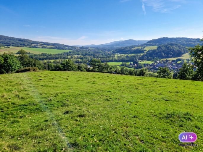 Prodej, Louka, Starý Šachov