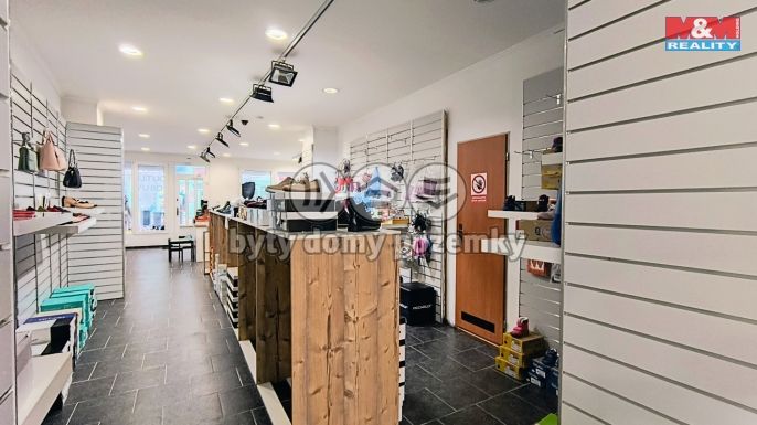 Pronájem, Obchod a služby, Slaný