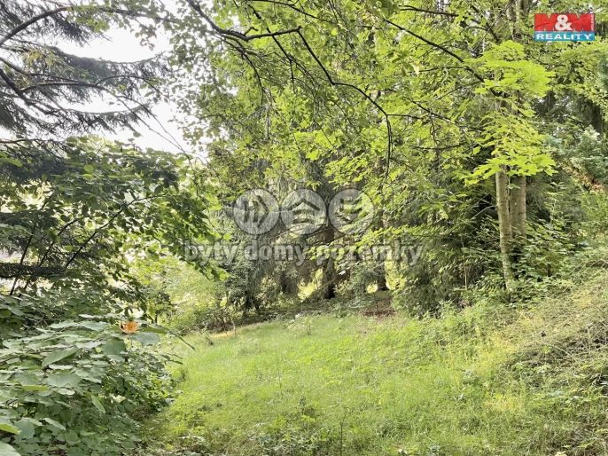 Prodej, Zahrada, Borová