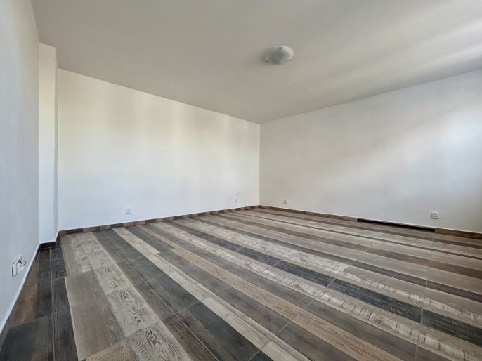 Pronájem, Byt 1+1, Švihov