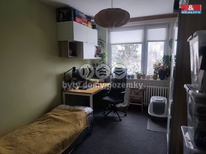 Pronájem, Byt 3+1, Lány