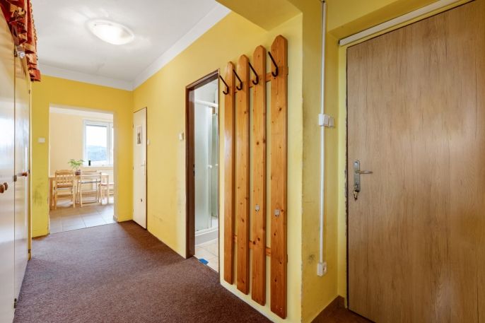 Prodej, Byt 3+1, Bzová