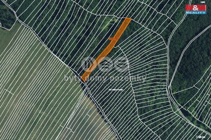 Prodej, Les, Horní Bojanovice