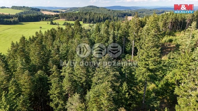 Prodej, Les, Petrovice u Sušice